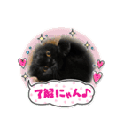 ♡黒猫2♡（個別スタンプ：19）