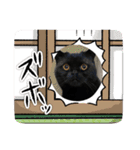 ♡黒猫2♡（個別スタンプ：23）