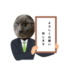 ビジネス用おもしろ猫スタンプ（個別スタンプ：5）