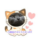 ビジネス用おもしろ猫スタンプ（個別スタンプ：8）