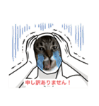 ビジネス用おもしろ猫スタンプ（個別スタンプ：10）