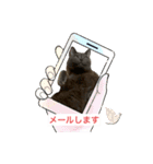 ビジネス用おもしろ猫スタンプ（個別スタンプ：12）