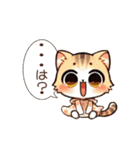 夏の猫さん詰め合わせ（個別スタンプ：18）