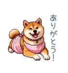 お母さん柴犬【日常・家族・母】（個別スタンプ：16）