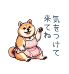 お母さん柴犬【日常・家族・母】（個別スタンプ：17）