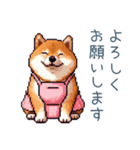 お母さん柴犬【日常・家族・母】（個別スタンプ：19）