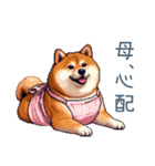 お母さん柴犬【日常・家族・母】（個別スタンプ：23）