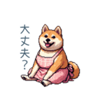 お母さん柴犬【日常・家族・母】（個別スタンプ：24）