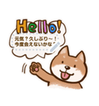 犬のメッセージスタンプ【しばいぬさん】（個別スタンプ：23）