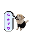 ラムtwo（個別スタンプ：7）