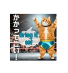 THE CAT•He is a professional wrestler（個別スタンプ：5）