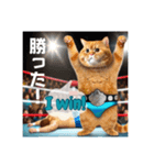 THE CAT•He is a professional wrestler（個別スタンプ：10）