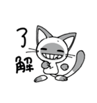 Shadow siamese cat！（個別スタンプ：8）