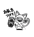 Shadow siamese cat！（個別スタンプ：24）