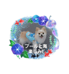 LUNA＆SEAだワン！！夏夏夏～海だ！！プールだ！！（個別スタンプ：3）