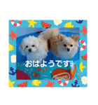 LUNA＆SEAだワン！！夏夏夏～海だ！！プールだ！！（個別スタンプ：4）