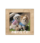 LUNA＆SEAだワン！！夏夏夏～海だ！！プールだ！！（個別スタンプ：5）