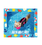 LUNA＆SEAだワン！！夏夏夏～海だ！！プールだ！！（個別スタンプ：6）