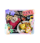 LUNA＆SEAだワン！！夏夏夏～海だ！！プールだ！！（個別スタンプ：7）