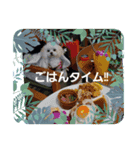LUNA＆SEAだワン！！夏夏夏～海だ！！プールだ！！（個別スタンプ：8）