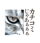 会社で働く猫 ネガティブ悪口編（個別スタンプ：1）