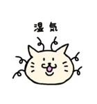 ふつうのねこさんの夏（個別スタンプ：10）