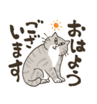 まいにち筆文字♡猫だらけ（個別スタンプ：1）