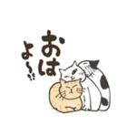 まいにち筆文字♡猫だらけ（個別スタンプ：2）