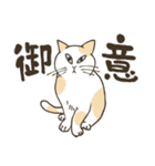 まいにち筆文字♡猫だらけ（個別スタンプ：7）