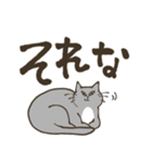 まいにち筆文字♡猫だらけ（個別スタンプ：14）