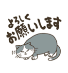 まいにち筆文字♡猫だらけ（個別スタンプ：16）