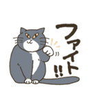 まいにち筆文字♡猫だらけ（個別スタンプ：29）