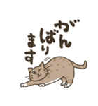 まいにち筆文字♡猫だらけ（個別スタンプ：30）