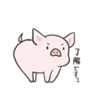 pigちゃんスタンプ第3弾〜（個別スタンプ：8）