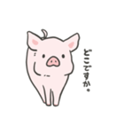 pigちゃんスタンプ第3弾〜（個別スタンプ：9）