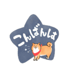 にっこり柴犬と筆文字スタンプ♡毎日使える（個別スタンプ：4）