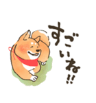 にっこり柴犬と筆文字スタンプ♡毎日使える（個別スタンプ：11）