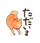 にっこり柴犬と筆文字スタンプ♡毎日使える（個別スタンプ：31）