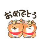 にっこり柴犬と筆文字スタンプ♡毎日使える（個別スタンプ：38）