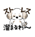 シーズー犬 『親って大変なんだよね』（個別スタンプ：11）