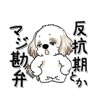 シーズー犬 『親って大変なんだよね』（個別スタンプ：21）