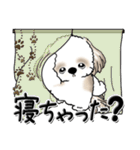 シーズー犬 『親って大変なんだよね』（個別スタンプ：37）