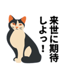 口が悪い猫スタンプ（個別スタンプ：8）