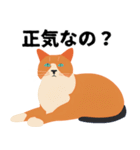 ネガティブ猫ちゃんスタンプ（個別スタンプ：8）