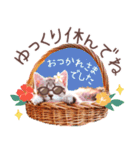 夏の猫ちゃんスタンプ♪（個別スタンプ：12）