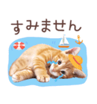 夏の猫ちゃんスタンプ♪（個別スタンプ：20）