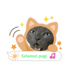 日常で使える面白い猫スタンプです（個別スタンプ：5）