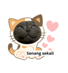 日常で使える面白い猫スタンプです（個別スタンプ：9）