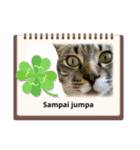 日常で使える面白い猫スタンプです（個別スタンプ：10）
