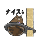 まべにゃん for 日常（個別スタンプ：12）